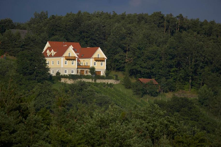 Winzerhaus Friedrich Apartment Kaindorf  Exterior photo